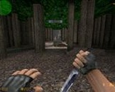 as_forest